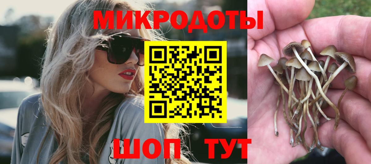 как найти   Вход с VPN  Губаха  Галлюциногенные грибы Magic Shrooms 
